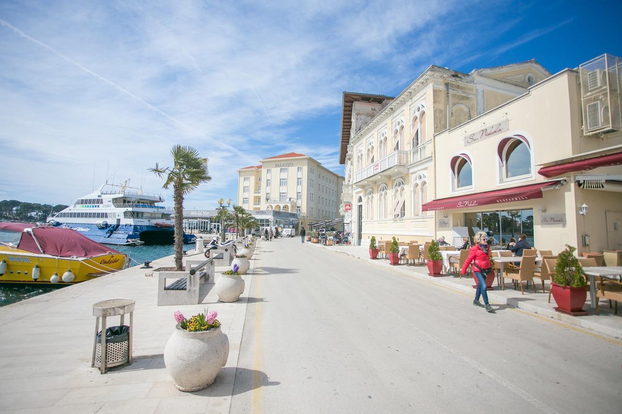Guest house Vet-centar 4*